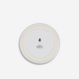 TAL 32oz Stoneware Pet Bowl - Explore More White